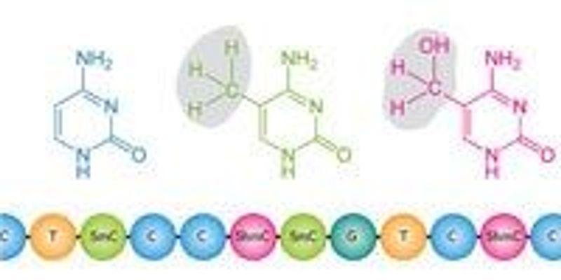 Unmasking the Secret to Michael Keaton's Ageless Demeanor: A Comprehensive Look at His Unique Diet Regimen