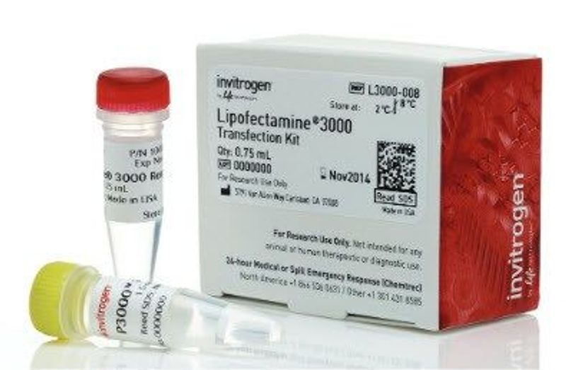 Life Technologies Introduces Its MostEfficient, Versatile Reagent for