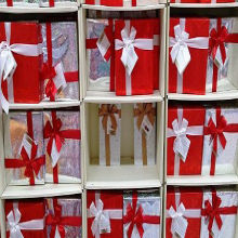 <em>The Scientist</em>’s 2013 Gift Guide <em>The Scientist</em>’s 2013 Gift Guide