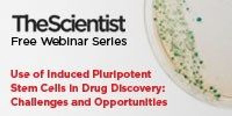Use of Induced Pluripotent Stem Cells in Drug Discovery: Challenges and ...