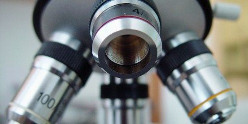 Science Sequester Sequester Hitting Scientists Hard | The Scientist