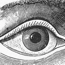Language Makes the Invisible Visible | The Scientist