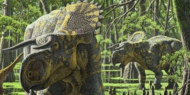 a-big-nosed-horn-faced-dino-m.jpg