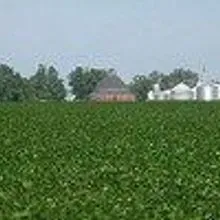 The Broader Implications: What’s at Stake Beyond Roundup