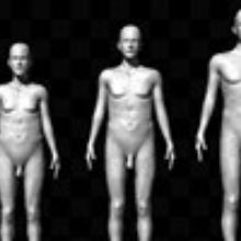 Penises: The Bigger the Better? Penises: The Bigger the Better?