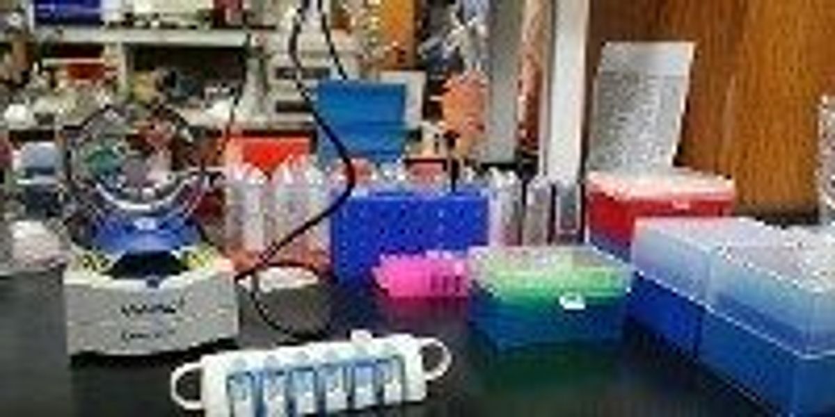 Cluttered Lab Before And After Disputed Research Ends In Tragedy | The