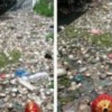 $32K to Swim in Polluted River $32K to Swim in Polluted River