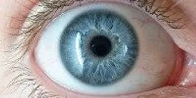 Bones Get in Her Eyes | The Scientist