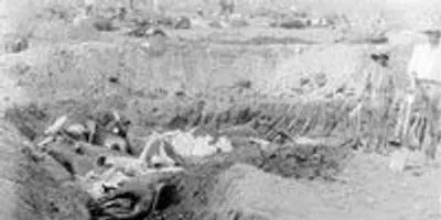 Deleted Forever | The Scientist