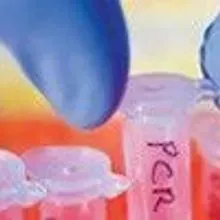 Empcr Emulsion PCR | The Scientist