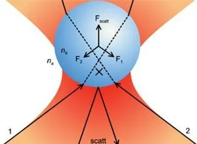 Building a Better Optical Trap | The Scientist