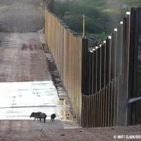 Border Wall Will Deliver A Huge Blow To Biodiversity | The Scientist