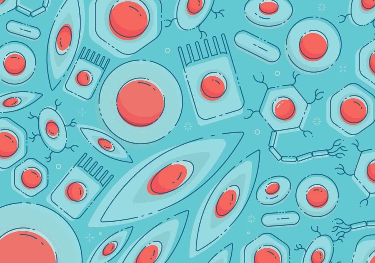 Adult Stem Cell - an overview sciencedirect.com