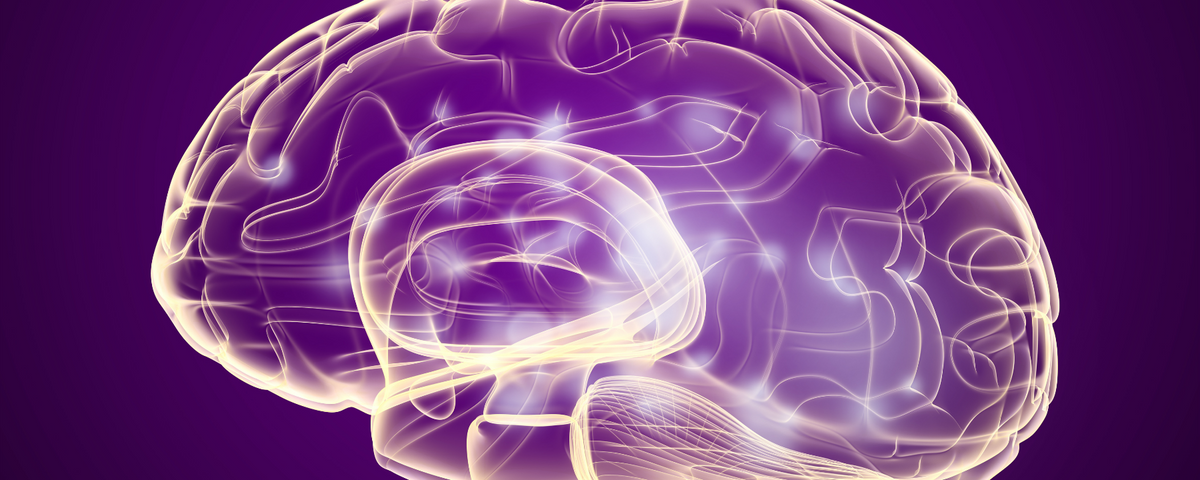 Self Control Center In The Brain Linked To Weight Loss The