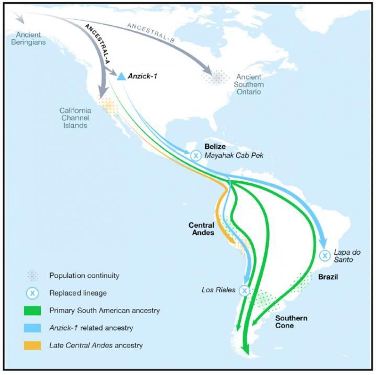 Native American populations descend from three key migrations