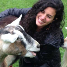 Goats Prefer Happy Human Faces Goats Prefer Happy Human Faces