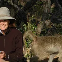 Dorothy Cheney, Pioneer in Social Cognition, Dies | The Scientist