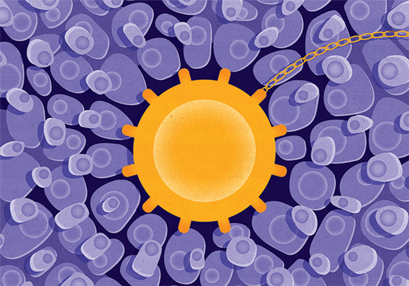 The Next Frontier of CAR TCell Therapy Solid Tumors The Scientist