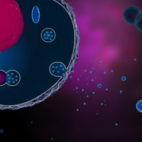 exosome cancer liver hepatocellular carcinoma RNA cirrhosis