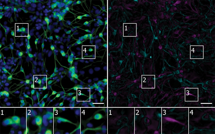 The error map highlights pixels where the model’s prediction was too bright (magenta) or too dim (teal). 