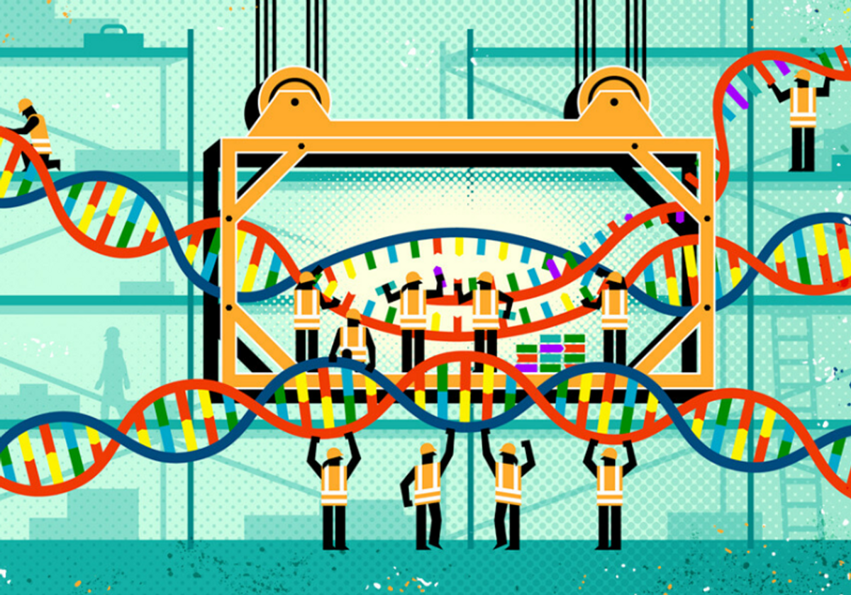 What Does It Look Like To Turn On A Gene The Scientist Magazine