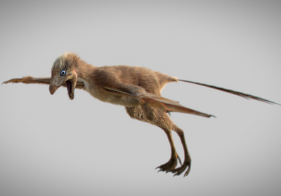 Image Of The Day Bat like Wings The Scientist Magazine 