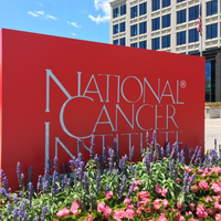 national cancer institute nci funding grants nanotechnology centers