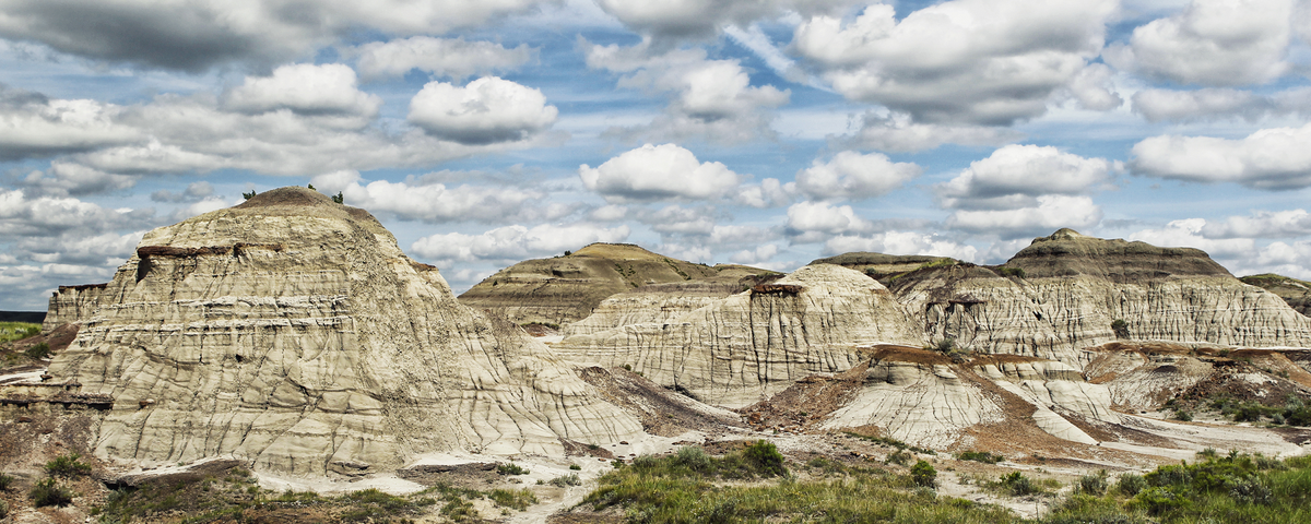 Fossilized Dino Bones Are Home To Diverse Microbial Communities