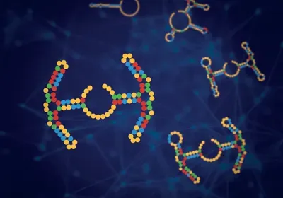 Image of the Day: Design Challenge | The Scientist
