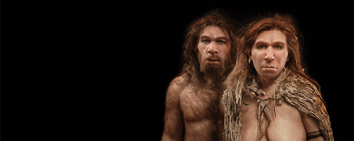 Neanderthal Dna In Modern Human Genomes Is Not Silent The Scientist Magazine