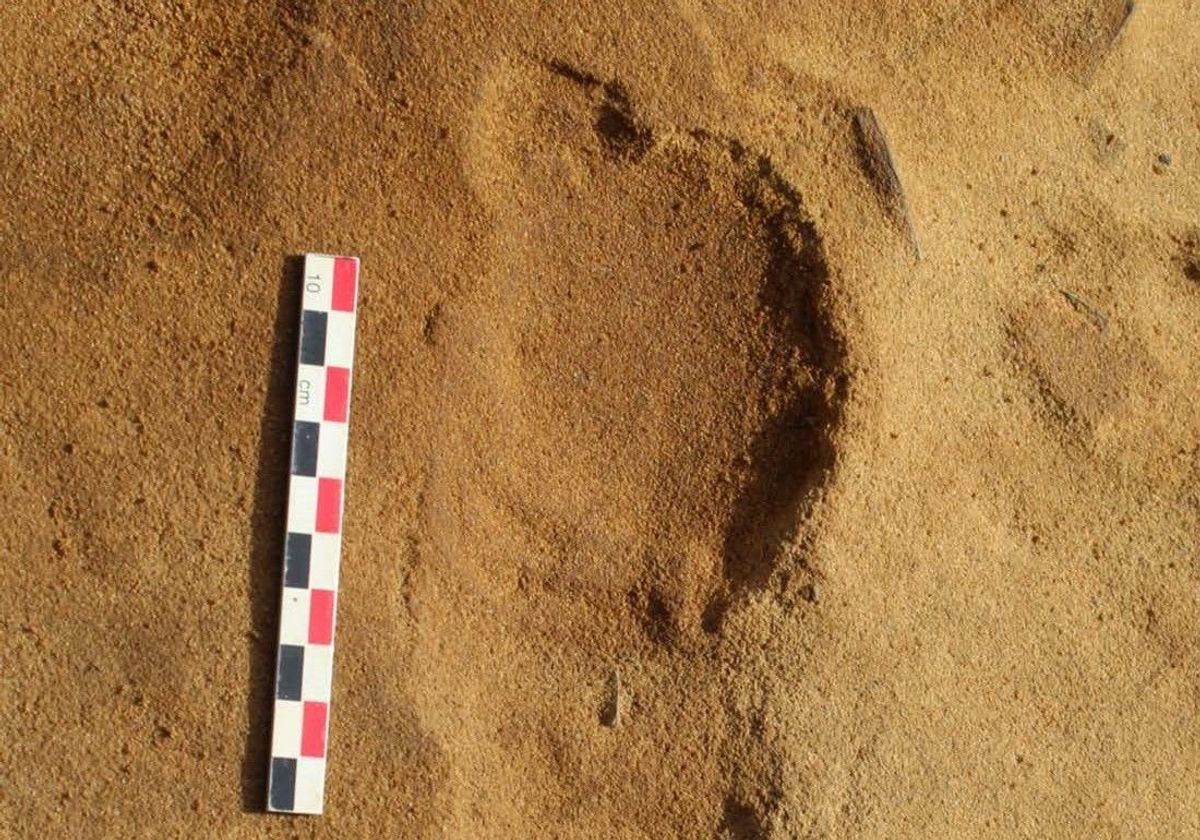 footprint-thumb-l.png