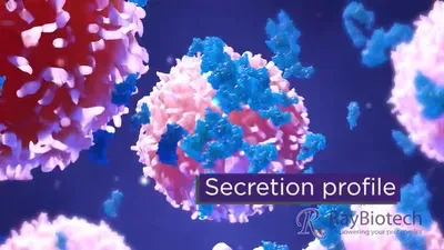 RayBiotech: Cancer Arrays | The Scientist