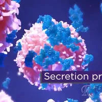 RayBiotech: Cancer Arrays | The Scientist