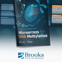 Mining the Epigenome: Microarrays for DNA Methylation