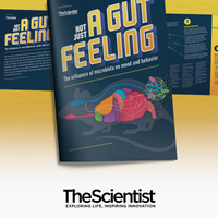 Not Just a Gut Feeling: The Influence of Microbiota on Mood and Behavior