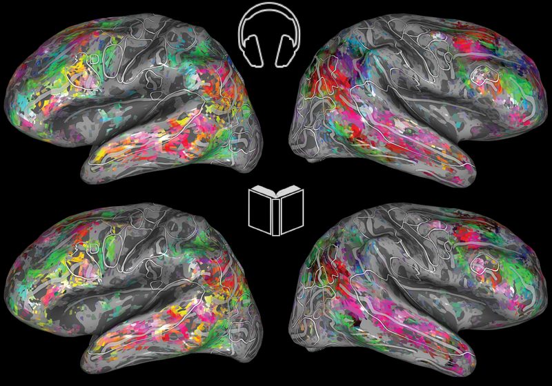 The Brain Interprets Spoken and Written Language the Same Way | The ...