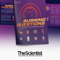 Burning Questions: The Role of Inflammation in Disease