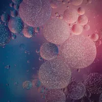 Organelles | The Scientist
