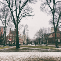 harvard university graduate student union strike