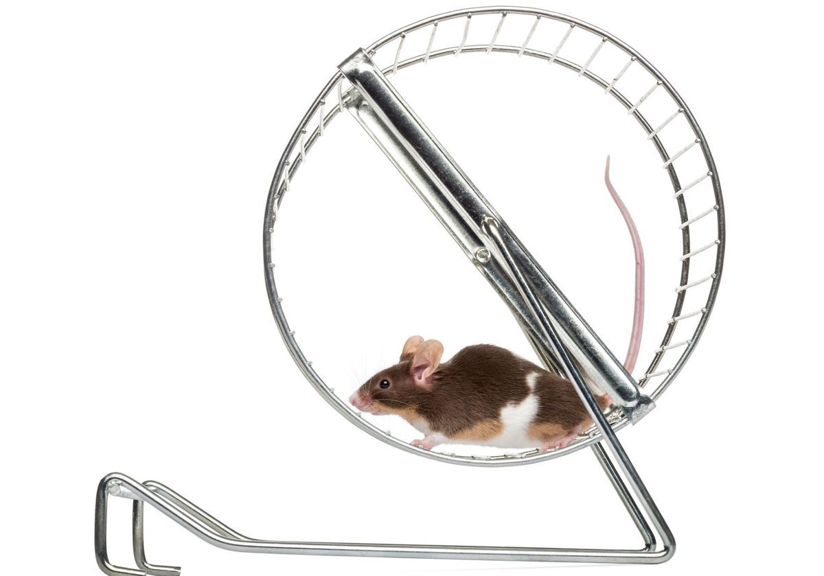 early epigenetic changes regulate