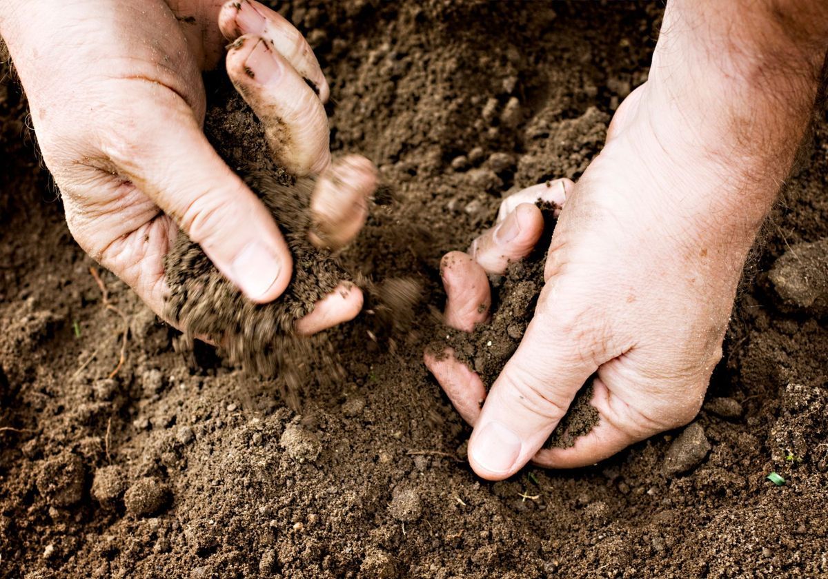 Good gardening soil crossword
