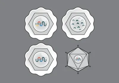 African Swine Fever | The Scientist