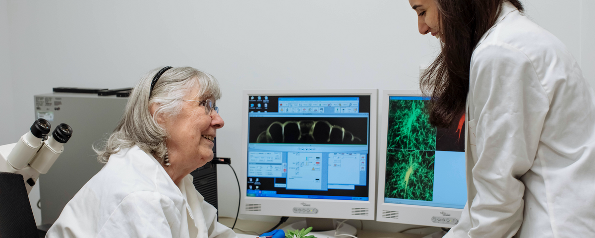 Barbara Pickard Plant Mechanosensory Researcher Dies The