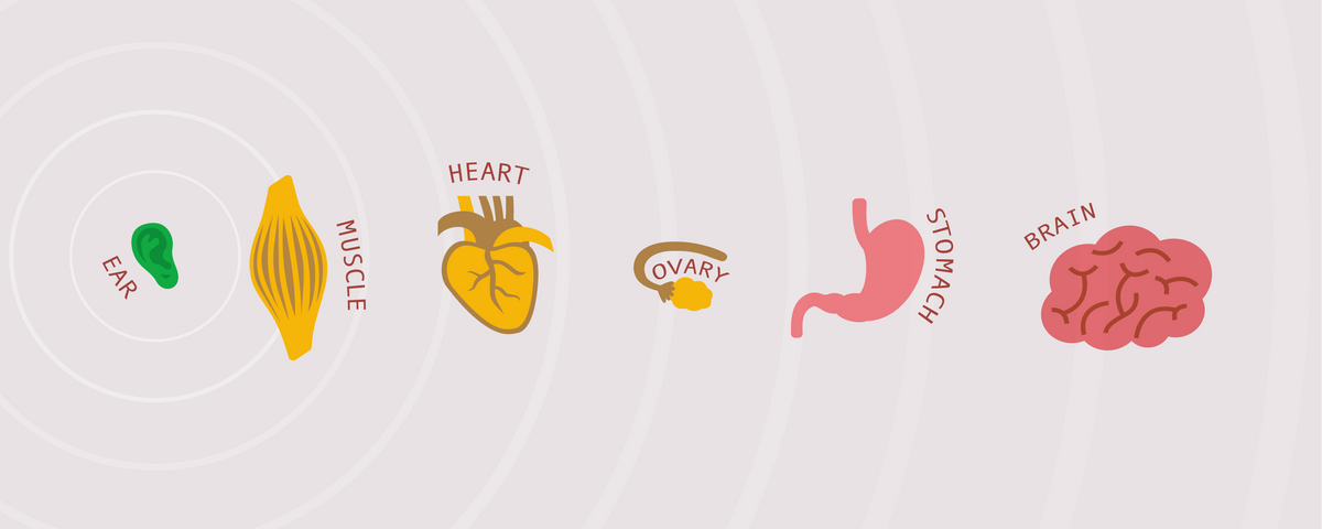 Infographic Which 3 D Printed Tissues Are Closest To The Clinic