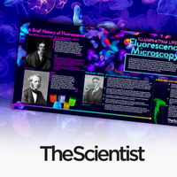Illuminating Life: Fluorescence Microscopy