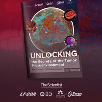 Unlocking the Secrets of the Tumor Microenvironment