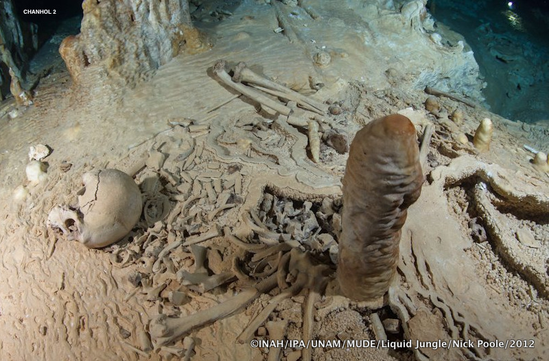 Giant Skeletons Underwater