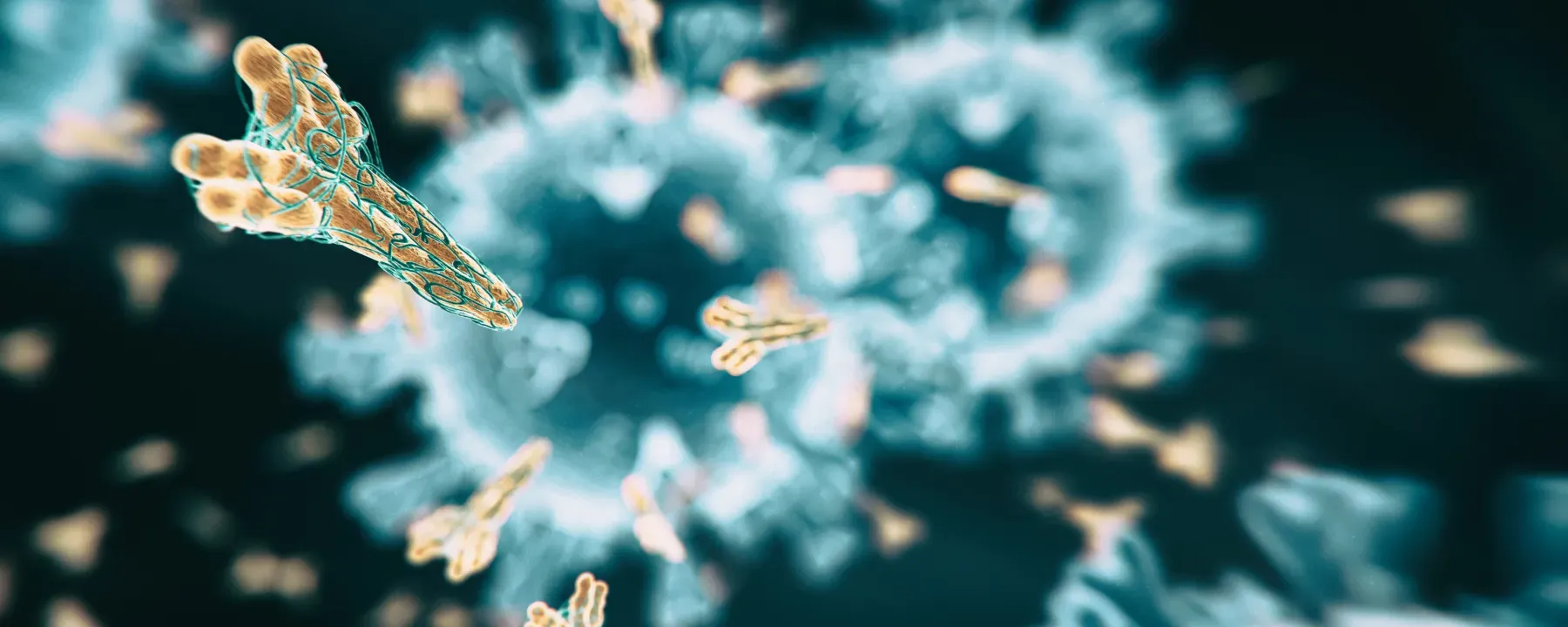 There is solid evidence emerging that COVID-19 patients are developing antibodies to the virus, as the human body does for most infectious pathogens.