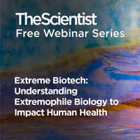 Extreme Biotech: Understanding Extremophile Biology to Impact Human Health