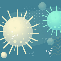 antibody sars-cov-2 spike protein nucleocapsid covid-19 coronavirus pandemic survivors immunology immunity